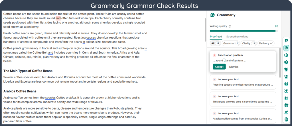 A screenshot of Grammarly grammar check results for a given input text