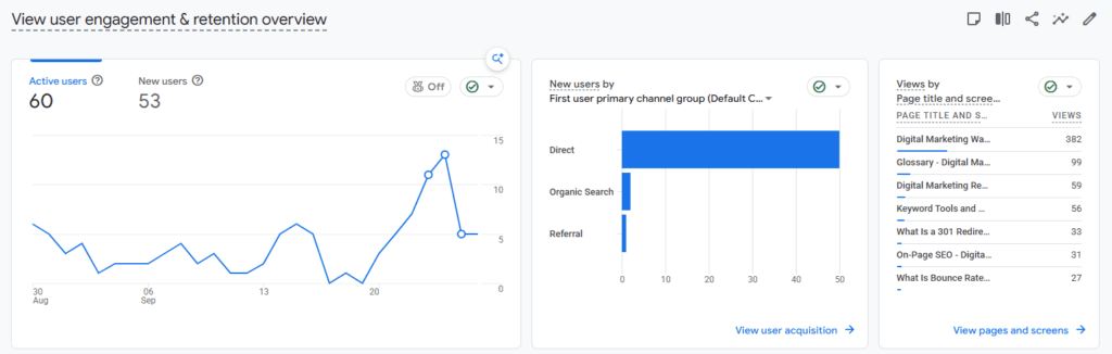 Google Analytics dashboard showing 60 active users, 53 new users, traffic from Direct, Organic Search, and Referral channels, and views by page title