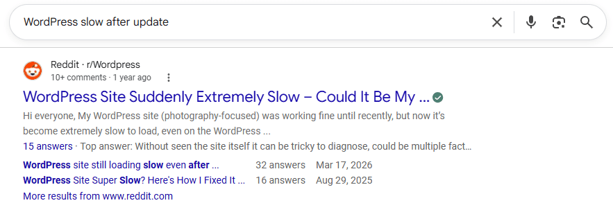 Google search result for “WordPress slow after update” showing a Reddit thread with multiple answers and related discussion links from the WordPress community.