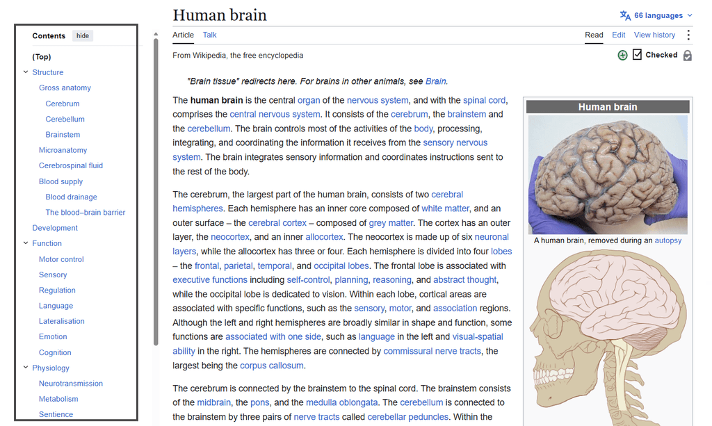 Wikipedia Human brain article with the table of contents highlighted in a box, showing nested sections