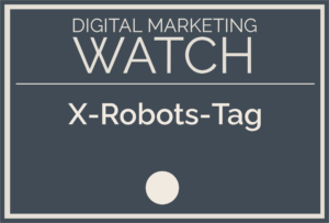 X-Robots-Tag