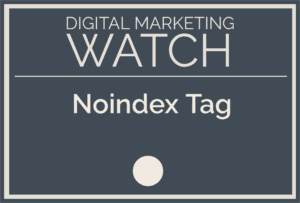 Noindex Tag