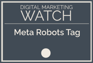 Meta Robots Tag
