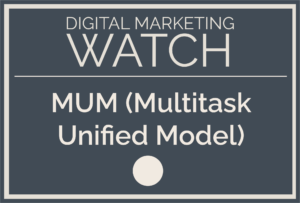 MUM (Multitask Unified Model)