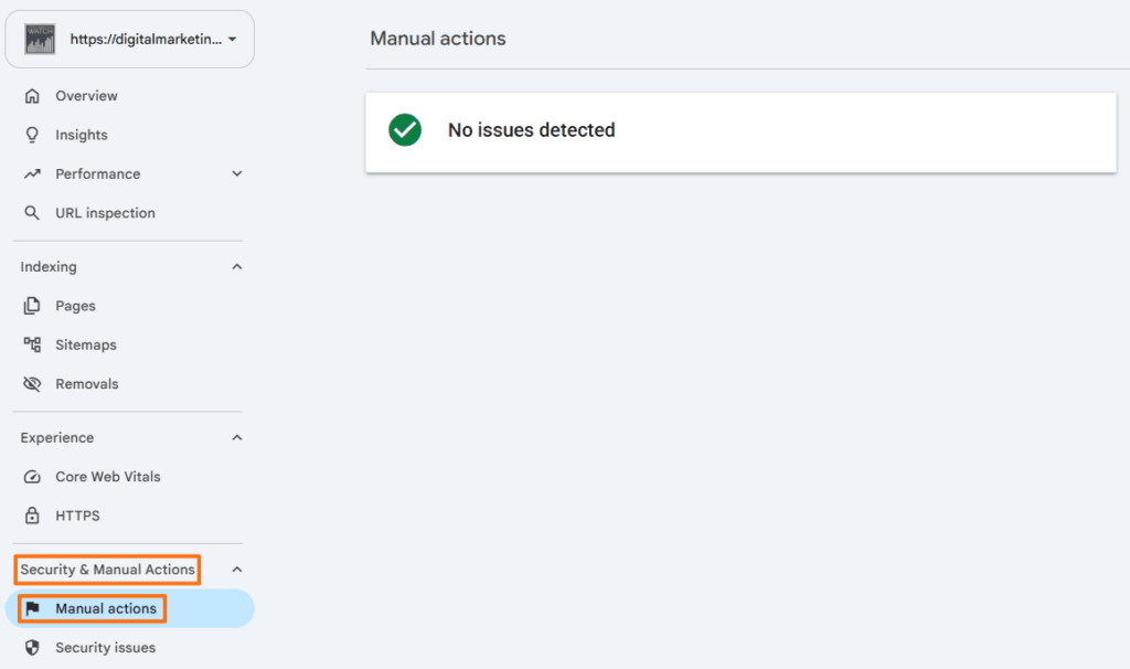 Google Search Console Manual actions report showing no issues detected