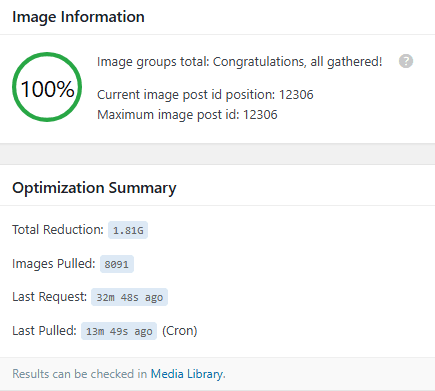 LiteSpeed Cache Image Optimization Summary showing automatically pulled optimized images